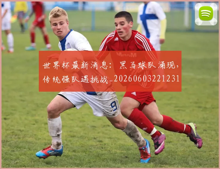 世界杯最新消息：黑马球队涌现，传统强队遇挑战_20260603221231